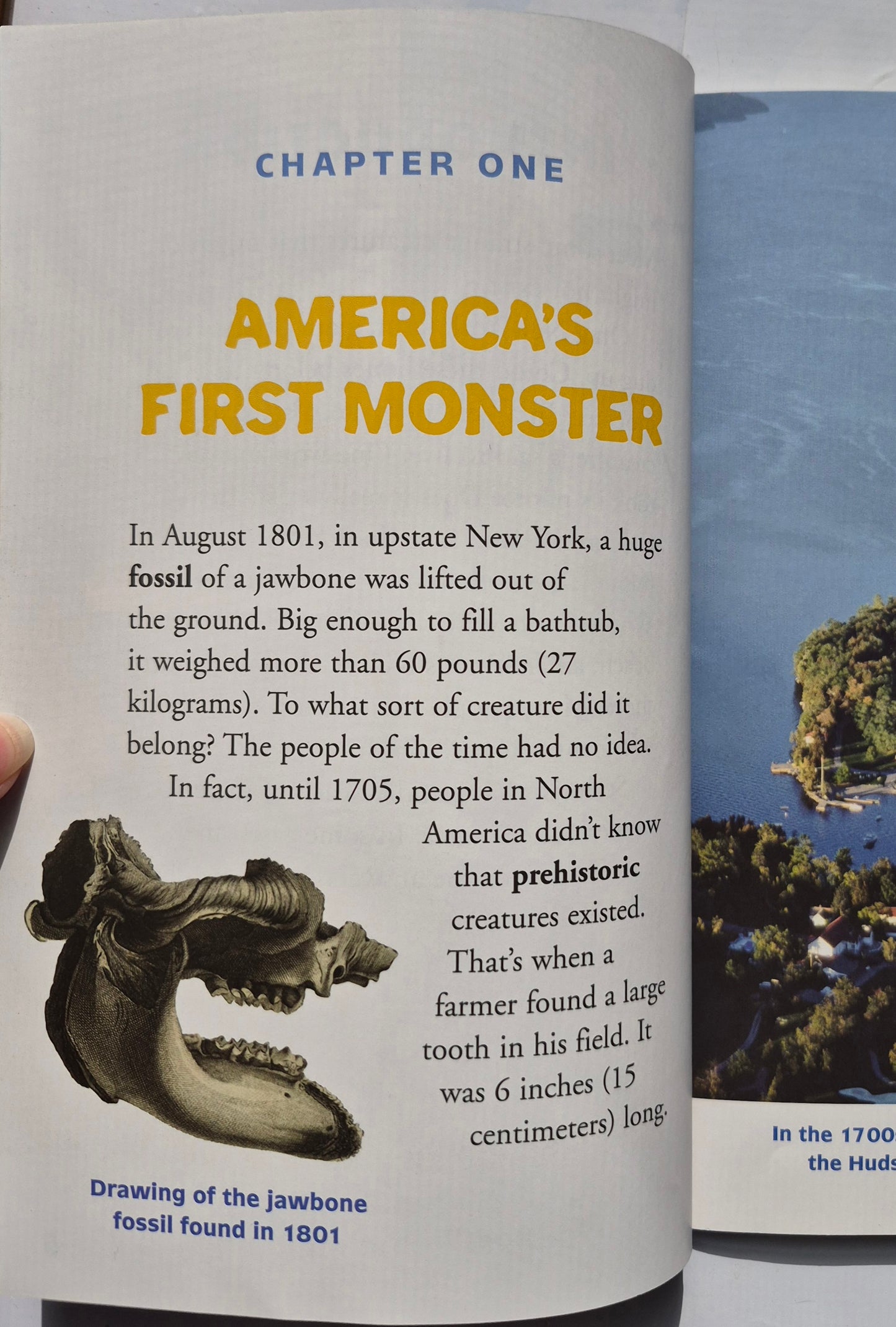 Mysterious Creatures: A Chapter Book (True Tales: Exploration and Discovery) by Catherine Nichols (Very good, 2005, Pbk, 48 pages, Scholastic)