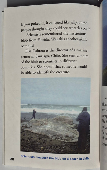 Mysterious Creatures: A Chapter Book (True Tales: Exploration and Discovery) by Catherine Nichols (Very good, 2005, Pbk, 48 pages, Scholastic)