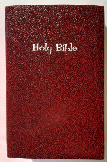 NiRV Holy Bible Gift & Award Bible (Very good, 1999, PBk, 1011 pages, Zonderkidz)