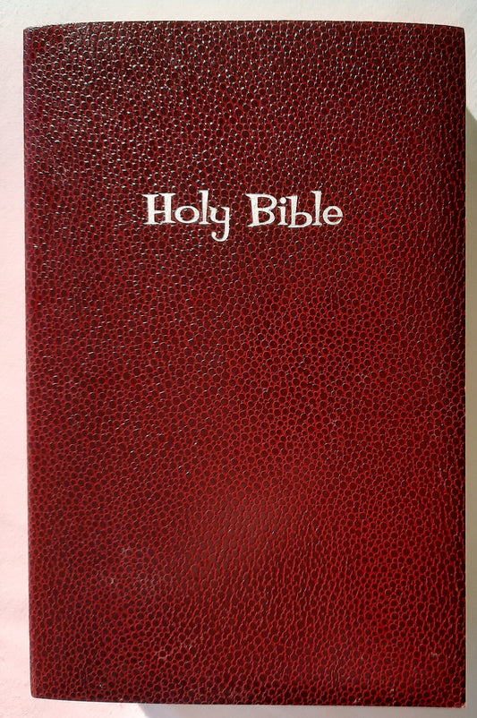 NiRV Holy Bible Gift & Award Bible (Very good, 1999, PBk, 1011 pages, Zonderkidz)