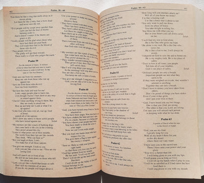 NiRV Holy Bible Gift & Award Bible (Very good, 1999, PBk, 1011 pages, Zonderkidz)