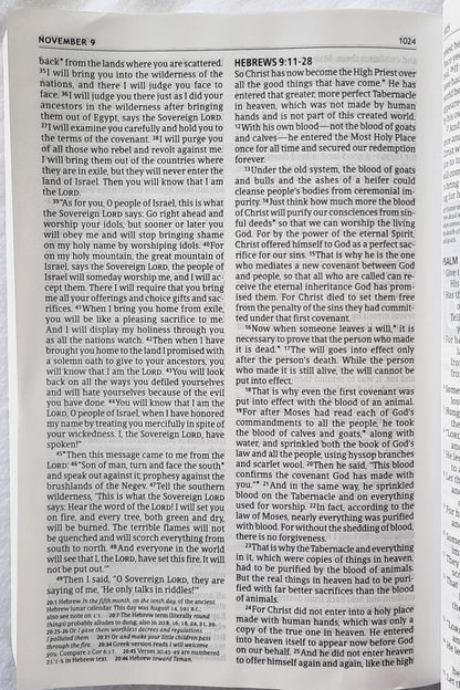 NLT The One Year Pray for the Persecuted Bible (New w/damage, 2021, PBK, 1184 pages, Tyndale House)