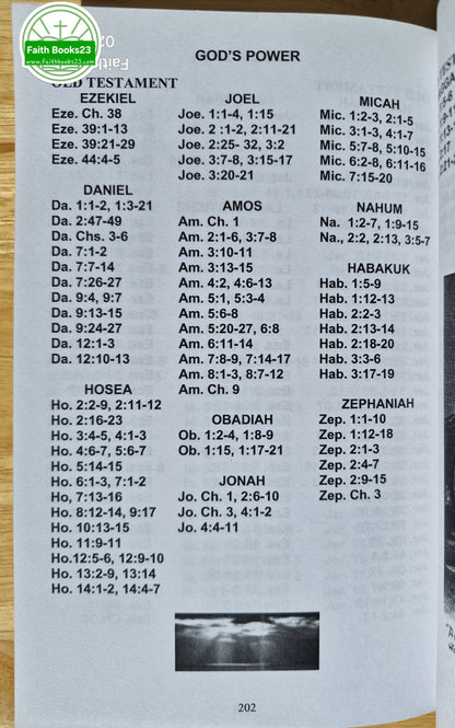 Lieber Dillon, Die sieben grundlegenden Wahrheiten GOTTES von Flo S. Oler (Sehr gut, 2007, PBk, 268 Seiten, Faith Baptist Church Publ. SELTENE ENTDECKUNG)