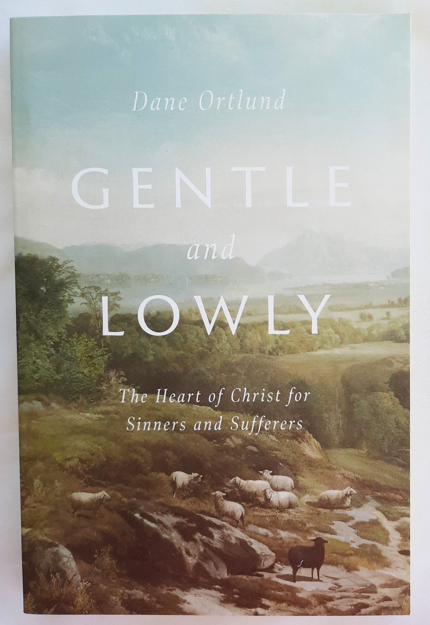 Gentle and Lowly: The Heart of Christ for Sinners and Sufferers by Dane Ortlund (Very good, 2020, Pbk, 224 pages, Crossway)