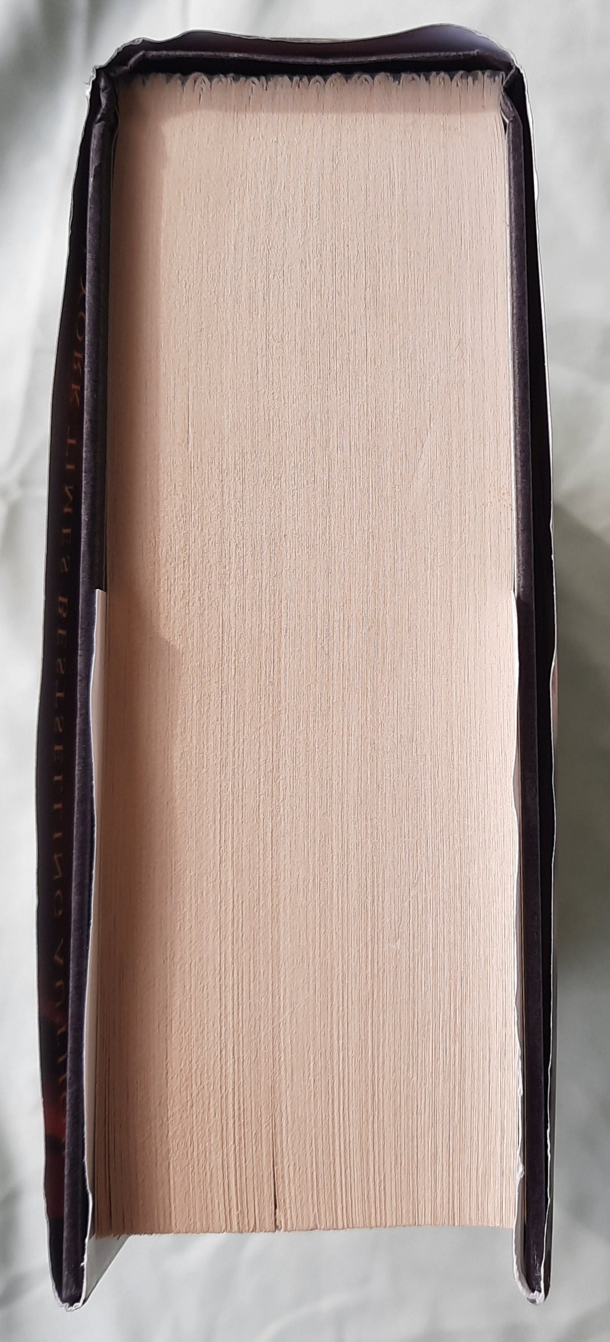 Illusion by Frank Peretti (Very good, 2012, HC, 740 pages, Doubleday Large Print)
