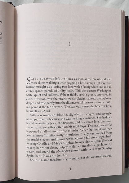 The Visitation by Frank Peretti (Very good, 1999, HC, 519 pages, Word Publishing)