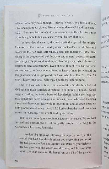 Guardians of the Gate: Enriching our Life Through Spiritual Mentoring by Ann Platz (Good, 2002, Pbk, 244 pages, Harrison House)