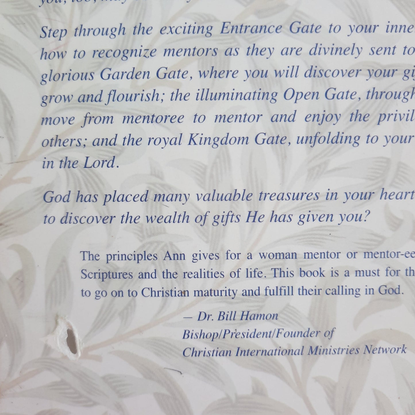 Guardians of the Gate: Enriching our Life Through Spiritual Mentoring by Ann Platz (Good, 2002, Pbk, 244 pages, Harrison House)