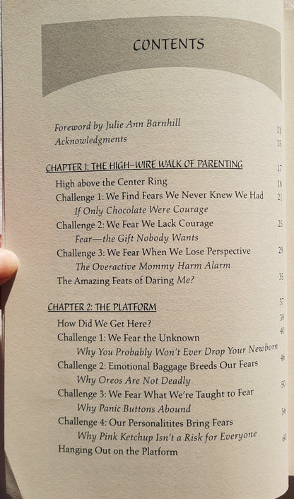 Facing Every Mom's Fears: A Survival Guide to Balancing Fear with Courage by Allie Pleiter (Very good, 2004, Pbk, 300 pages, Zondervan)