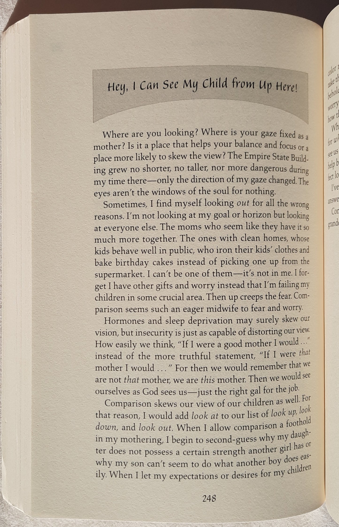 Facing Every Mom's Fears: A Survival Guide to Balancing Fear with Courage by Allie Pleiter (Very good, 2004, Pbk, 300 pages, Zondervan)