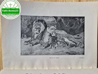 Historias de Cuadros Famosos Libro 1 por Ella M. Powers (Muy bueno, 1906, HC, 128 págs.)