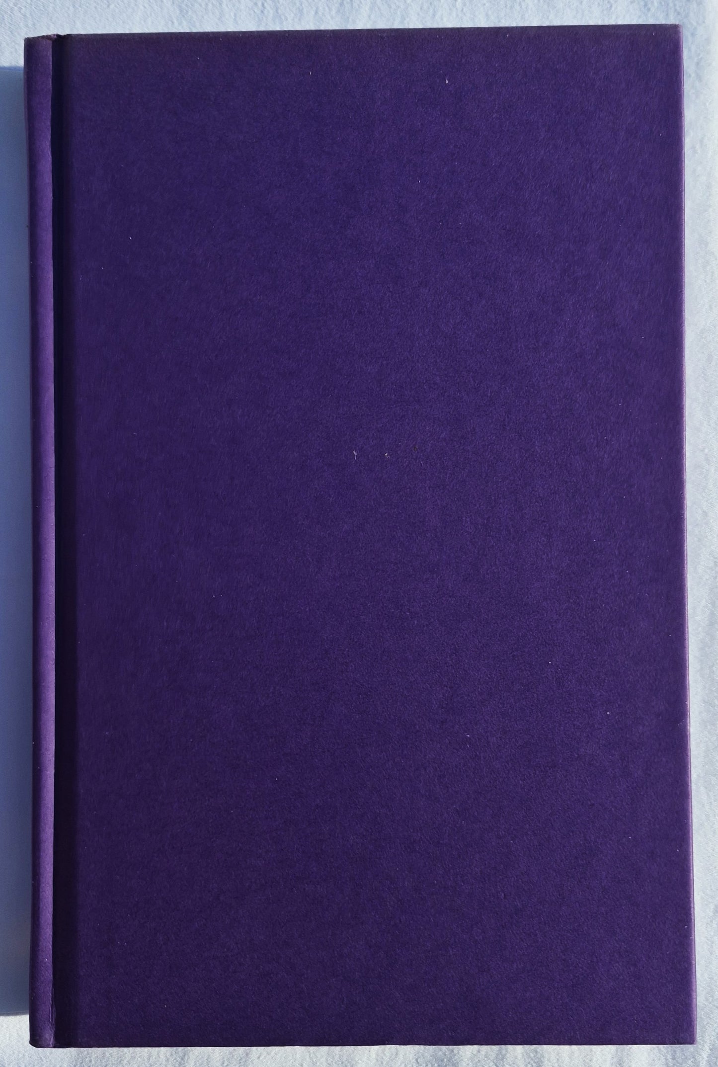Ryann Watters y la espada del rey #1 por Eric Reinhold (Nuevo, 2008, Tapa dura, 227 páginas, Creation House)