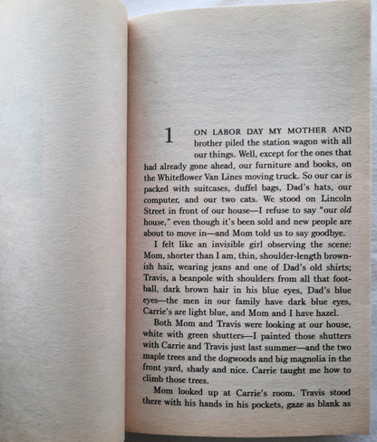 The Geometry of Sisters by Luanne Rice (Very good, 2009, Pbk, 382 pages, Bantam Books)