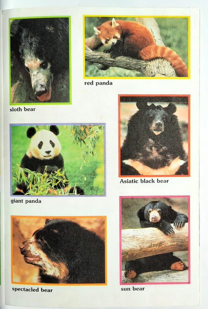 Bears by Deborah Richie (A Smart Start Reader, Very Good, 1996, Pbk, Scholastic)