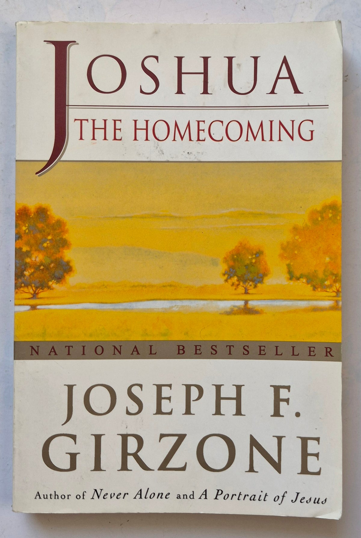 Joshua the Homecoming by Joseph F. Girzone (Good, 2000, Pbk, 259 pgs, Doubleday)