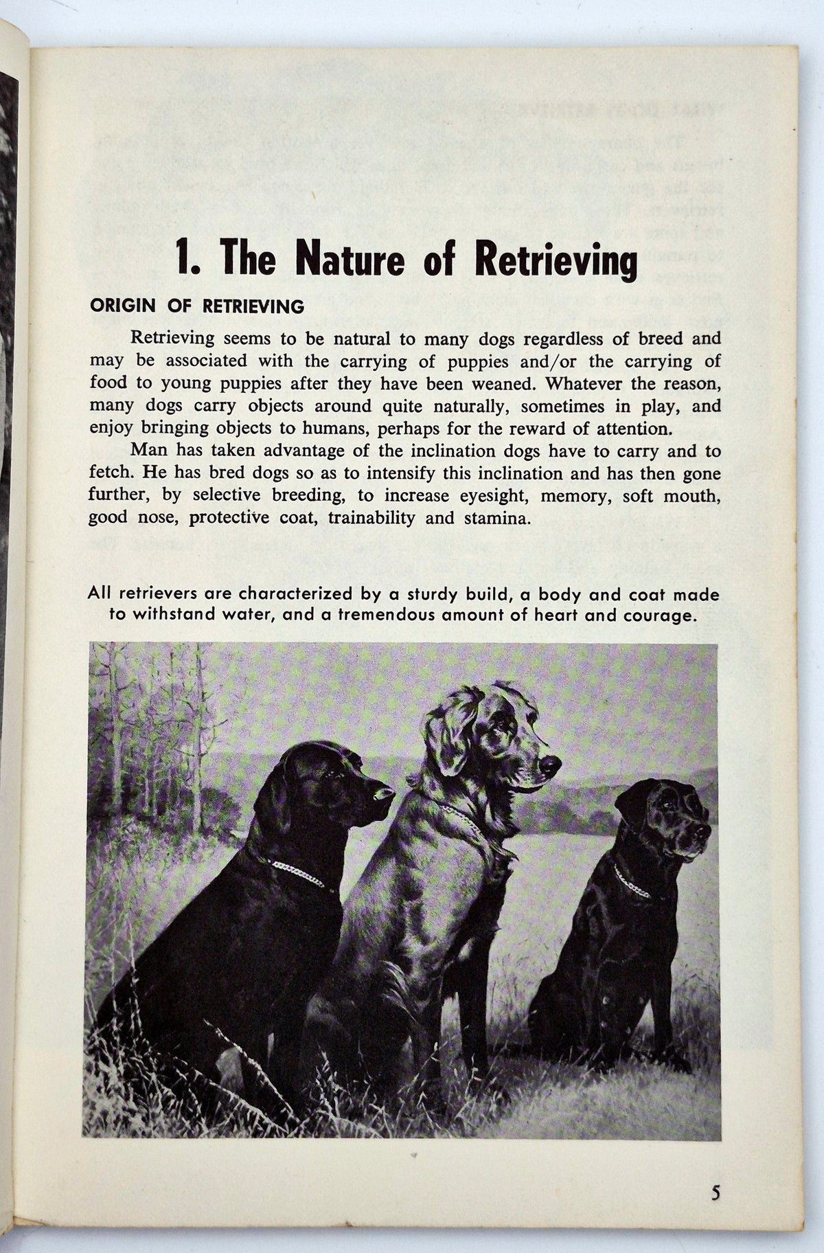 Hunting with Retrievers by Joe Stetson (Good, 1965, Pbk, 64 pgs, TFH Pub.)