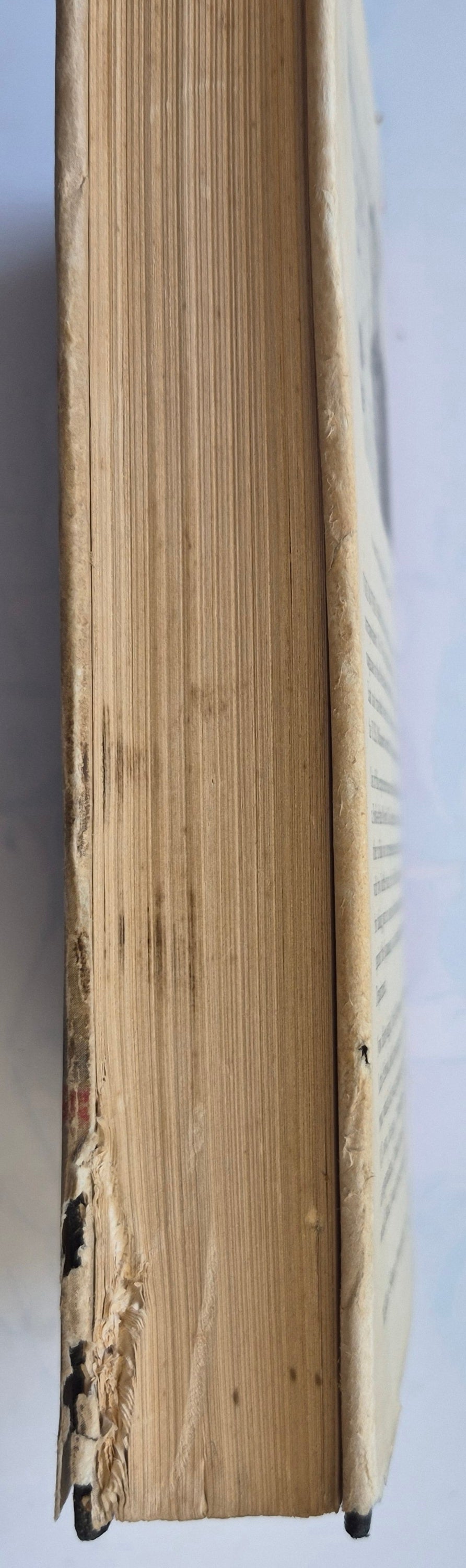 Fire in the Ashes by Theodore H. White -Good, 1953, HC, 405 pgs, William Sloane Assc.