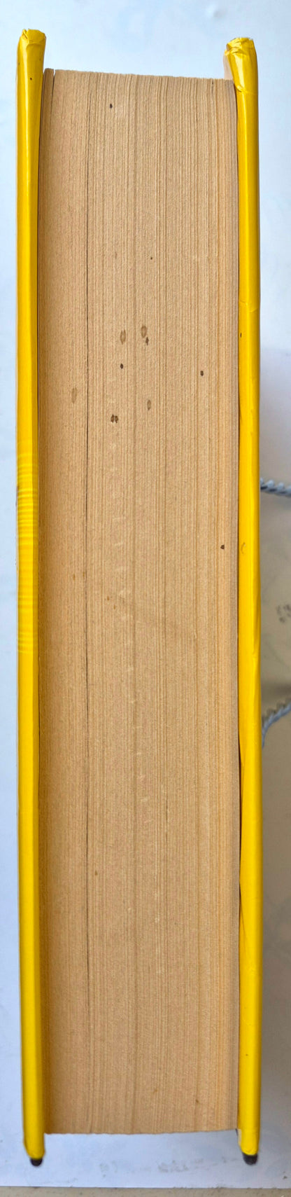 Pestañas majestuosas para Biblia con borde iridiscente (Nuevas, 2015, Ellie Claire Gift & Paper Expressions)
