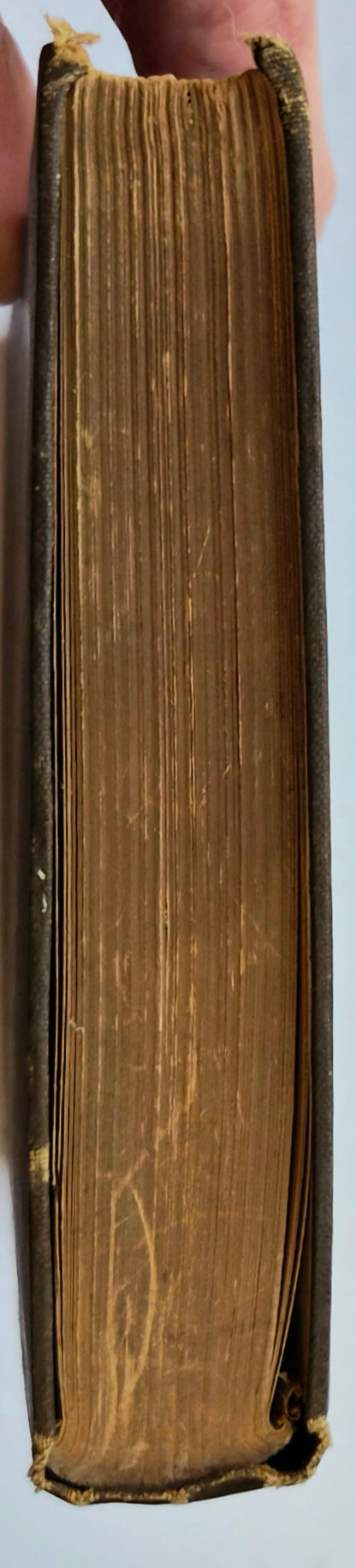 A Separate Peace von John Knowles (Sehr gut, 1996, Taschenbuch, 204 Seiten, Scribner)