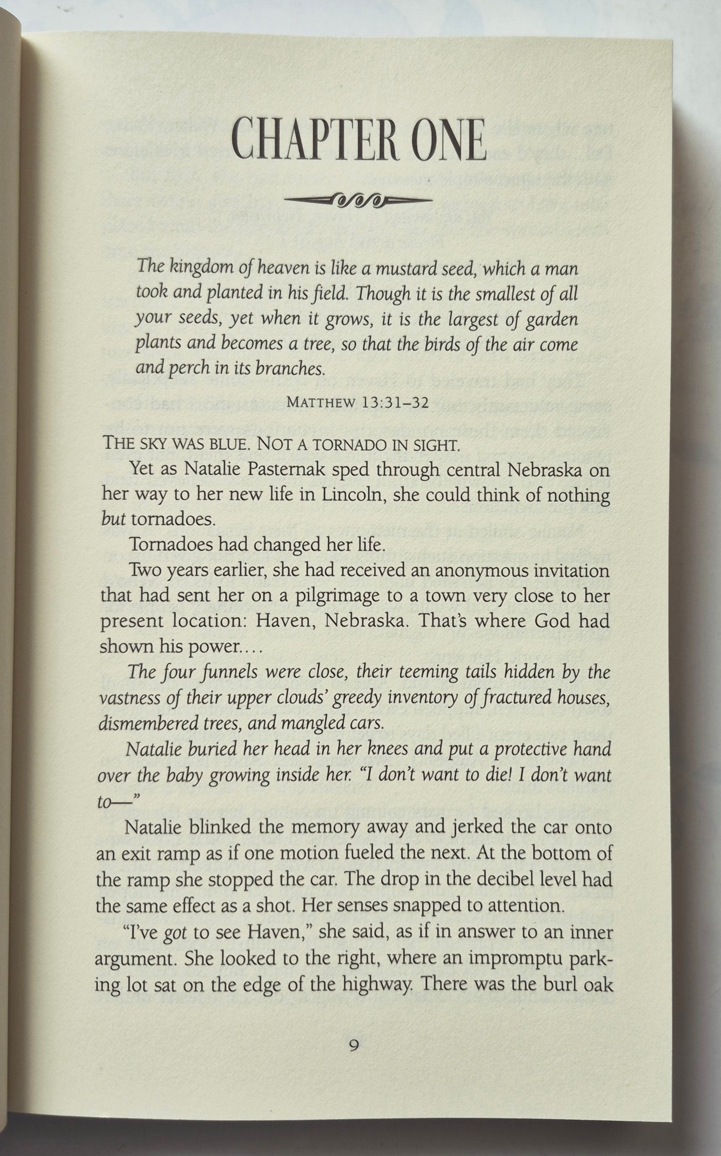 The Quest by Nancy Moser (Mustard Seed #2, Like new, 1999, Pbk, 405 pgs, Alabaster Books)