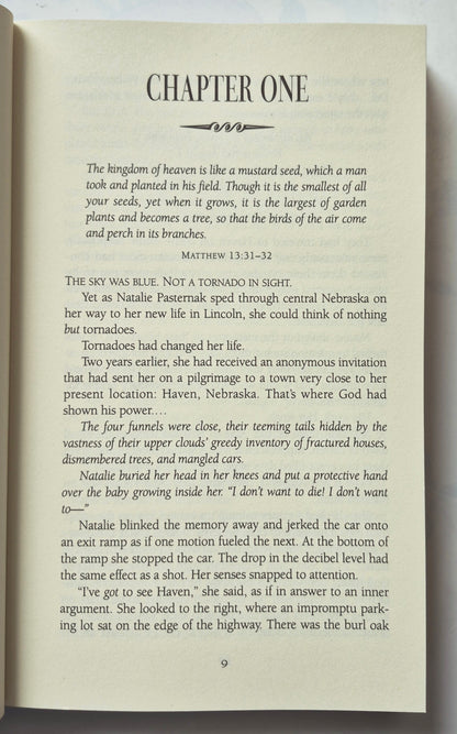 The Quest by Nancy Moser (Mustard Seed #2, Like new, 1999, Pbk, 405 pgs, Alabaster Books)
