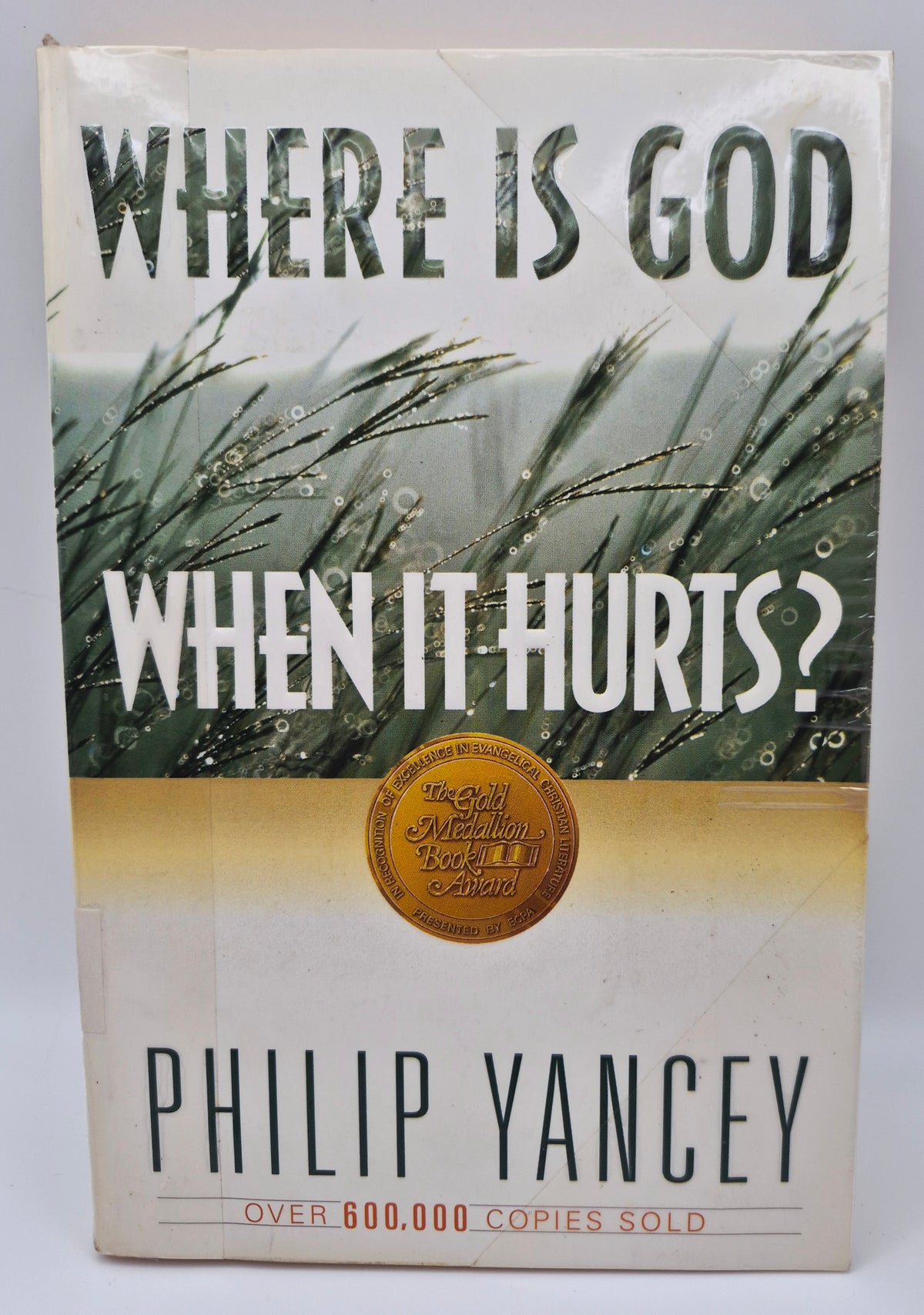 Where Is God When It Hurts? by Philip Yancey (Good, 1990, Pbk, 285 pgs, Zondervan)