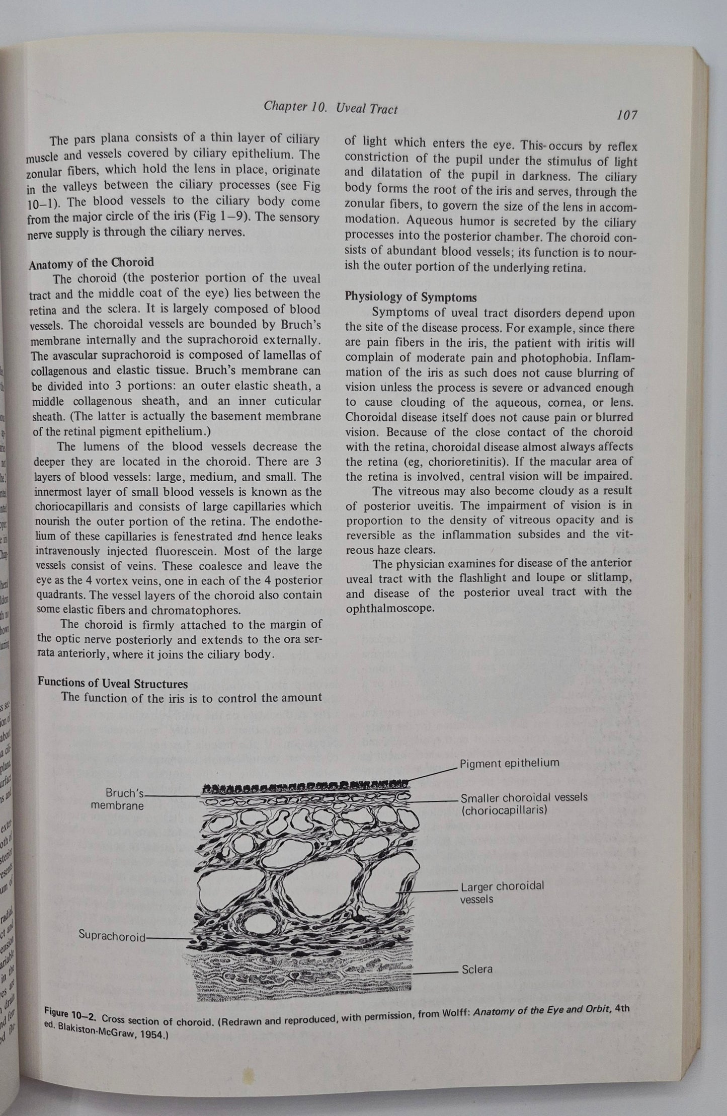 General Ophthalmology 8th Edition by Daniel Vaughan; Taylor Asbury (Very good, 1977, Pbk, 378 pgs, Lange Medical Pub.)