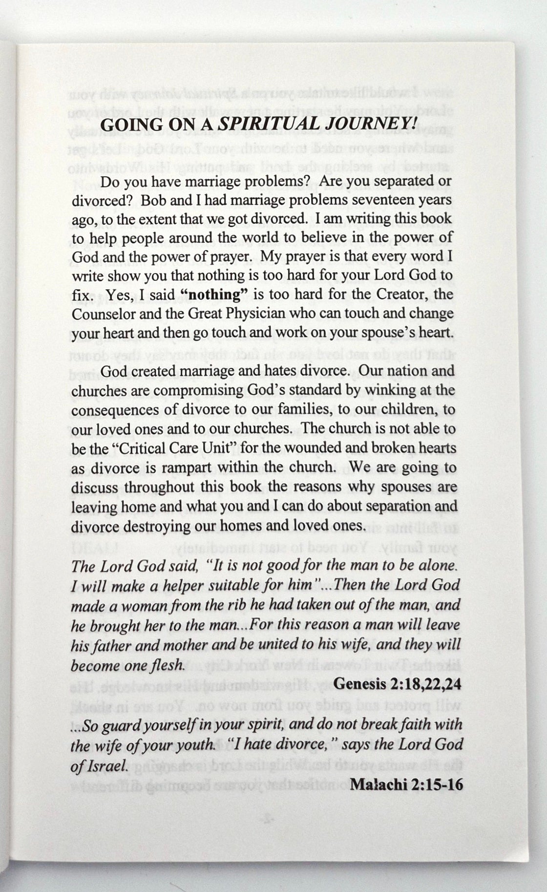 The Spiritual Journey Toward a Healed Marriage by Charlyne Steinkamp (Very Good, 2002, Pbk, 135 pgs, Rejoice Ministries)