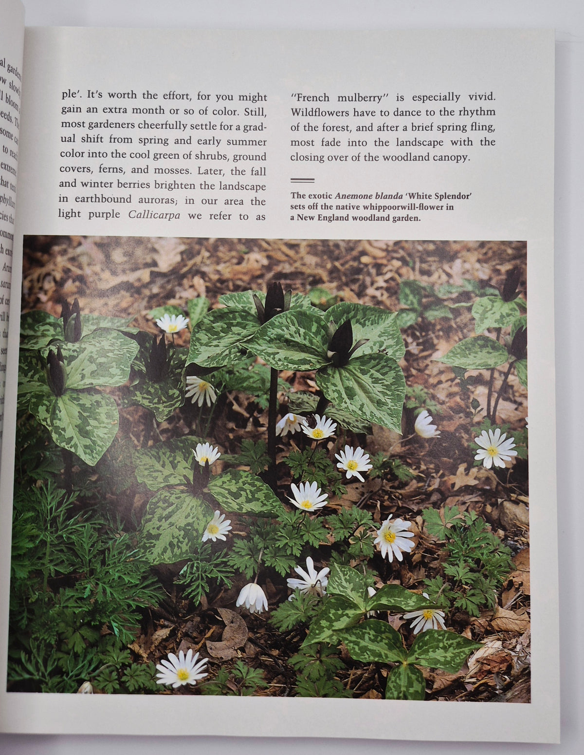 Landscaping with Wildflowers: An environmental approach to gardening by Jim Wilson (Very good, 1992, Pbk, 244 pgs, Houghton Mifflin)