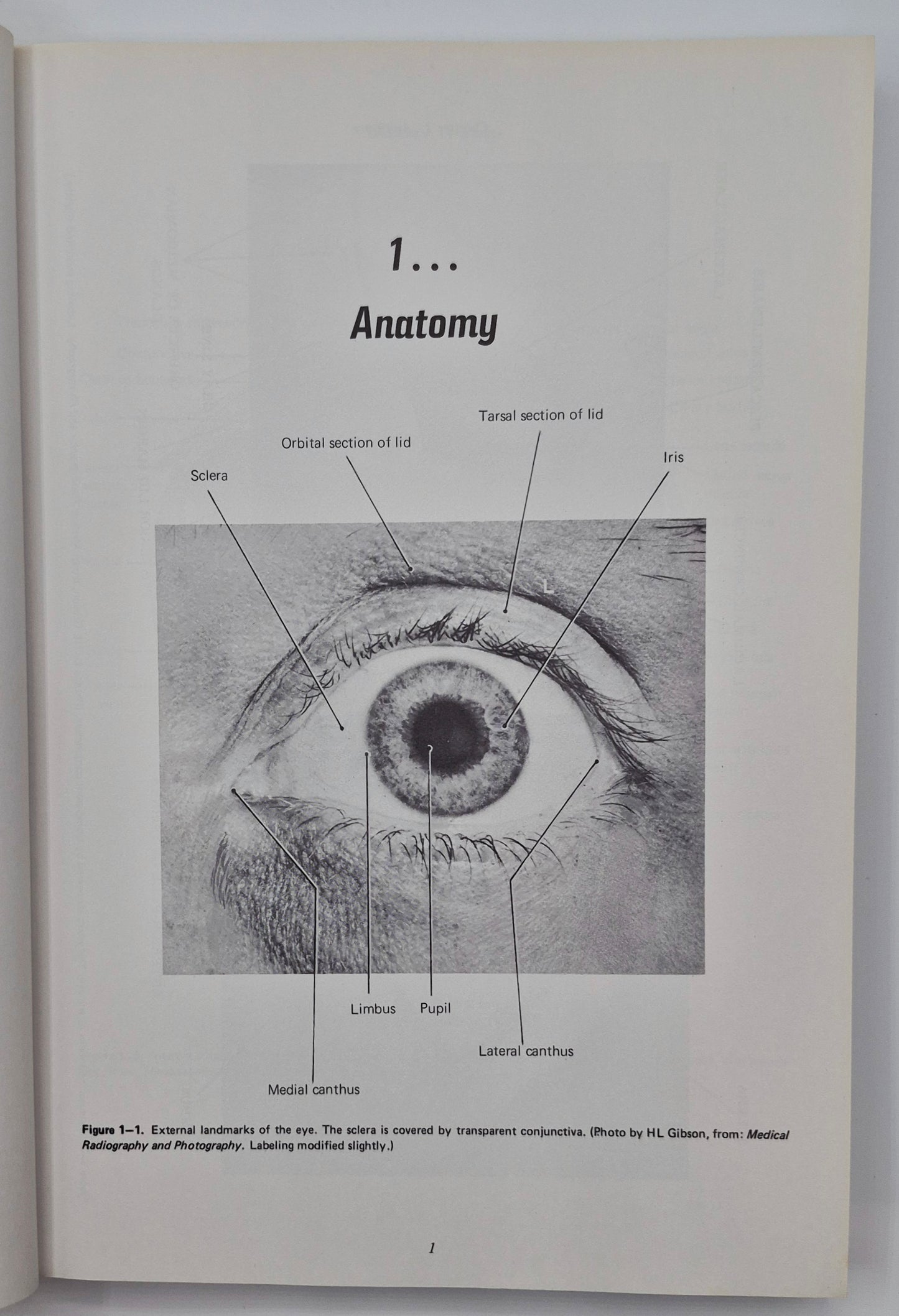 General Ophthalmology 8th Edition by Daniel Vaughan; Taylor Asbury (Very good, 1977, Pbk, 378 pgs, Lange Medical Pub.)