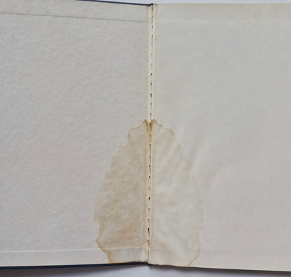 A Separate Peace von John Knowles (Sehr gut, 1996, Taschenbuch, 204 Seiten, Scribner)