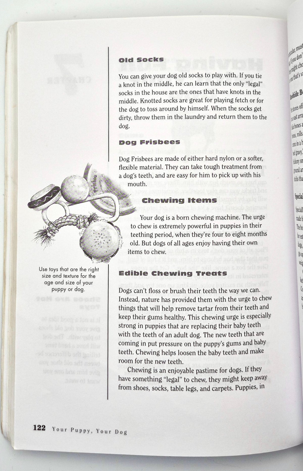 Your Puppy, Your Dog: A Kid's Guide to Raising a Happy, Healthy Dog by Pat Storer (Good, 1997, Pbk, 172 pgs, Storey Pub)