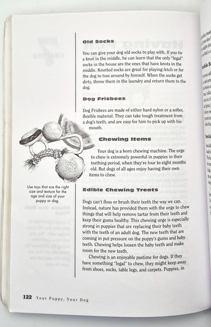 Your Puppy, Your Dog: A Kid's Guide to Raising a Happy, Healthy Dog by Pat Storer (Good, 1997, Pbk, 172 pgs, Storey Pub)