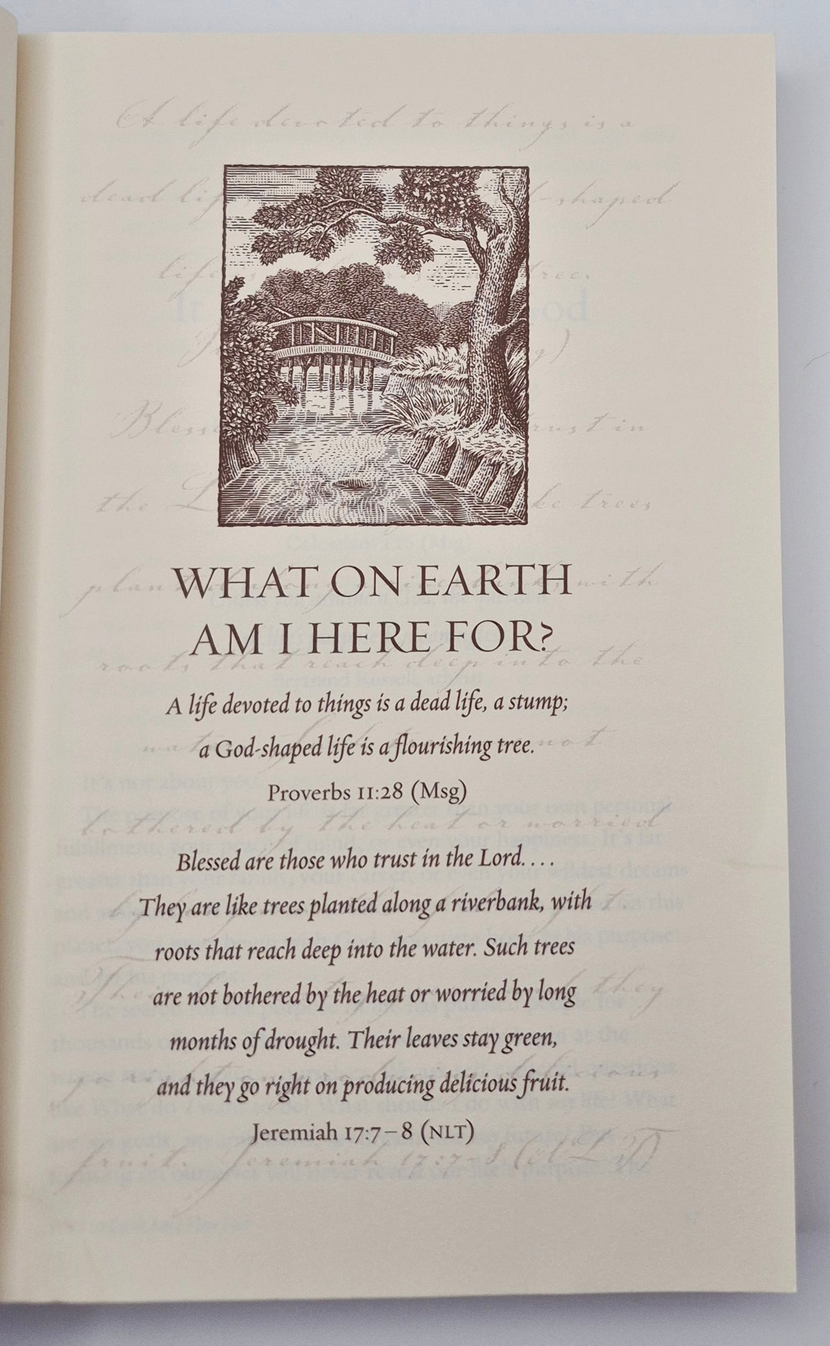 Die Zehn Gebote für ein erfülltes Leben: Wofür um alles in der Welt bin ich hier? von Rick Warren (Sehr gut, 2002, gebunden, 334 Seiten, Zondervan)