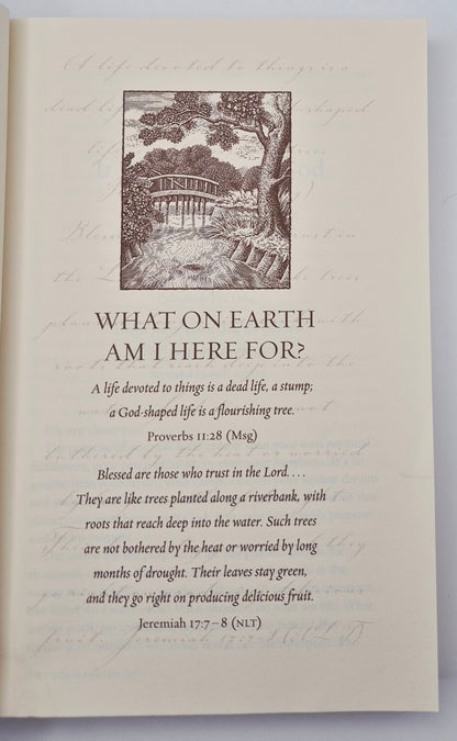 Die Zehn Gebote für ein erfülltes Leben: Wofür um alles in der Welt bin ich hier? von Rick Warren (Sehr gut, 2002, gebunden, 334 Seiten, Zondervan)