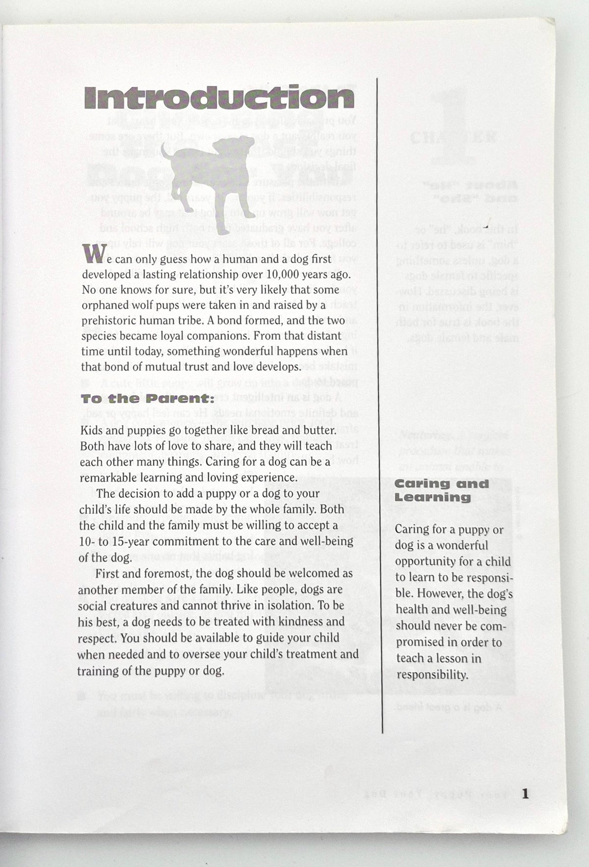Your Puppy, Your Dog: A Kid's Guide to Raising a Happy, Healthy Dog by Pat Storer (Good, 1997, Pbk, 172 pgs, Storey Pub)