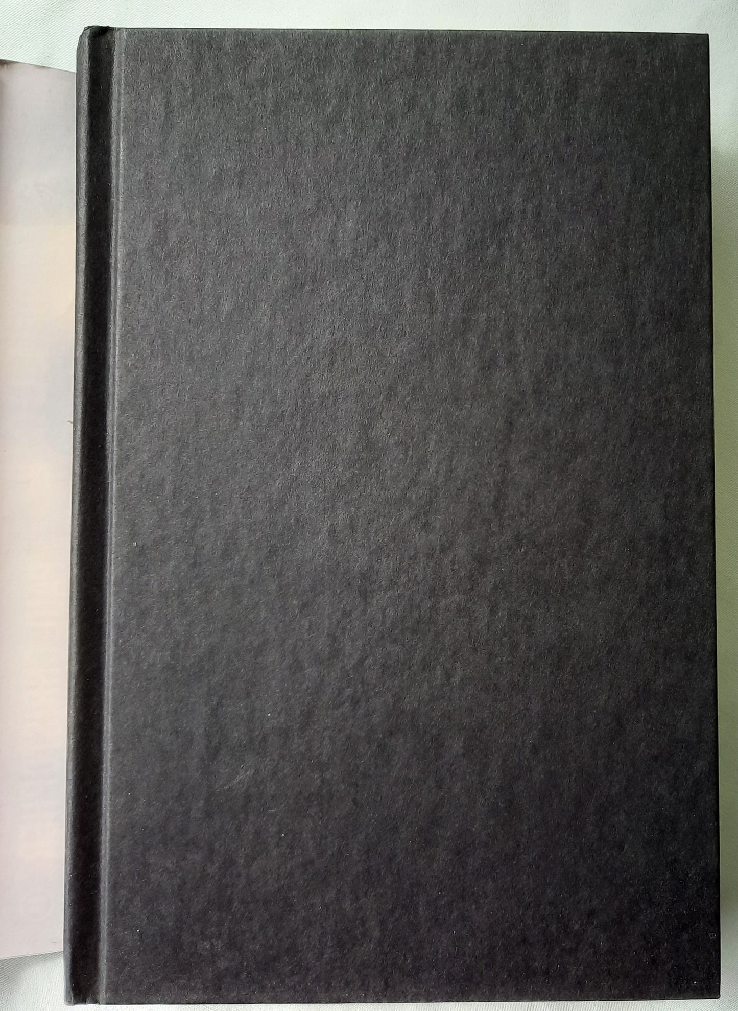 The Lucifer Gospel by Paul Christopher (Finn Ryan #2, Very good, 2006, HC, 357 pages, Onyx Books)