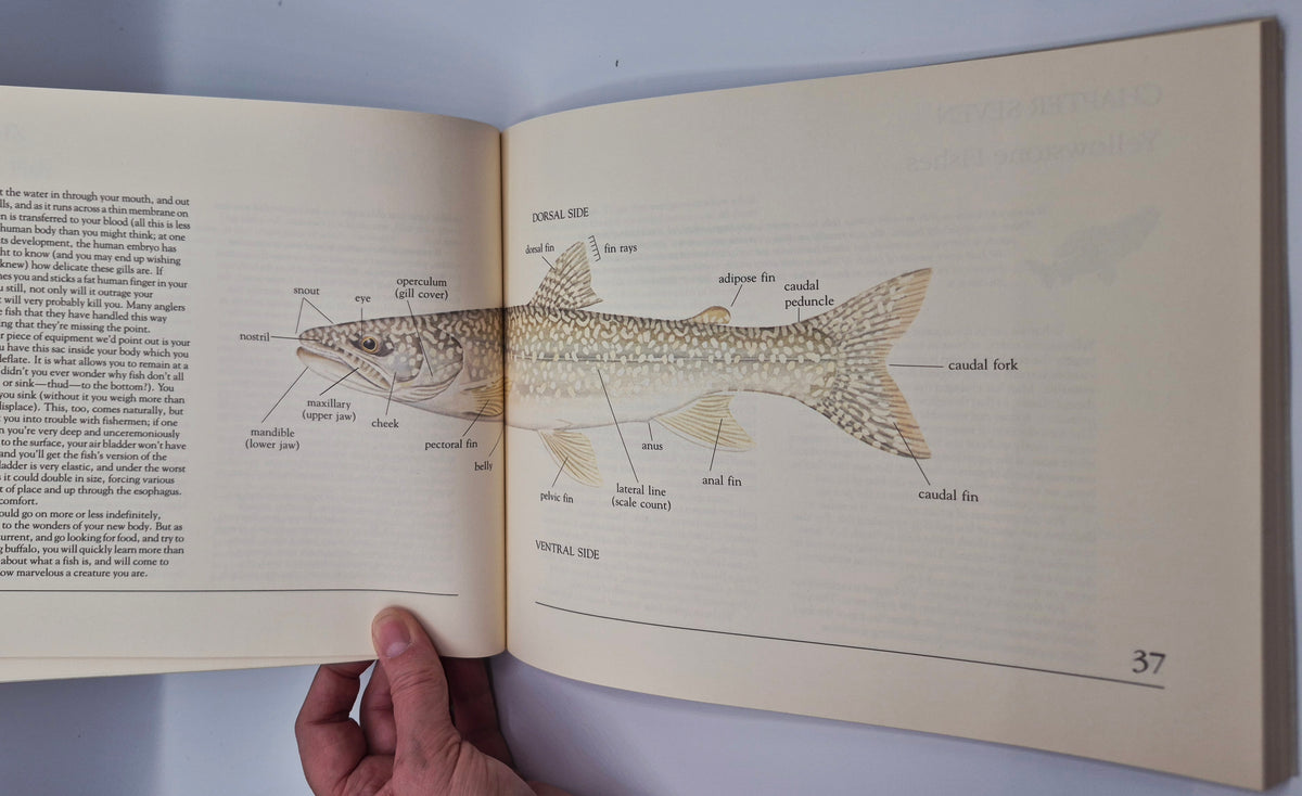 Freshwater Wilderness: Yellowstone Fishes & Their World by John D. Varley; Paul Schullery (Very good, 1983, Pbk, 133 pgs, The Yellowstone Library)