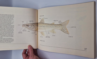 Freshwater Wilderness: Yellowstone Fishes & Their World by John D. Varley; Paul Schullery (Very good, 1983, Pbk, 133 pgs, The Yellowstone Library)