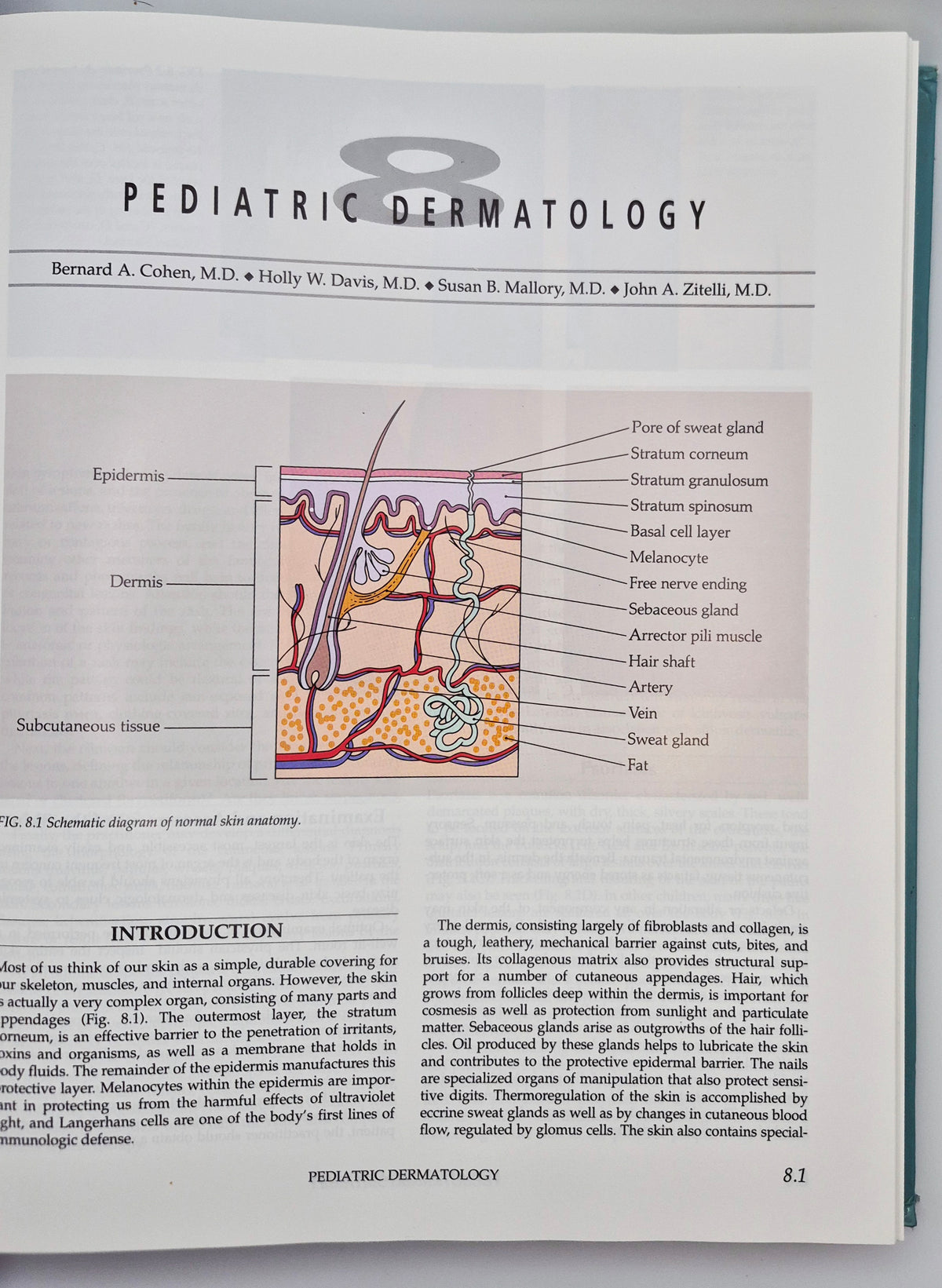 Atlas of Pediatric Physical Diagnosis 2nd edition edited by Basil J. Zitelli; Holly W. Davis (Very good, 1992, HC, Gower Medical Pub.)