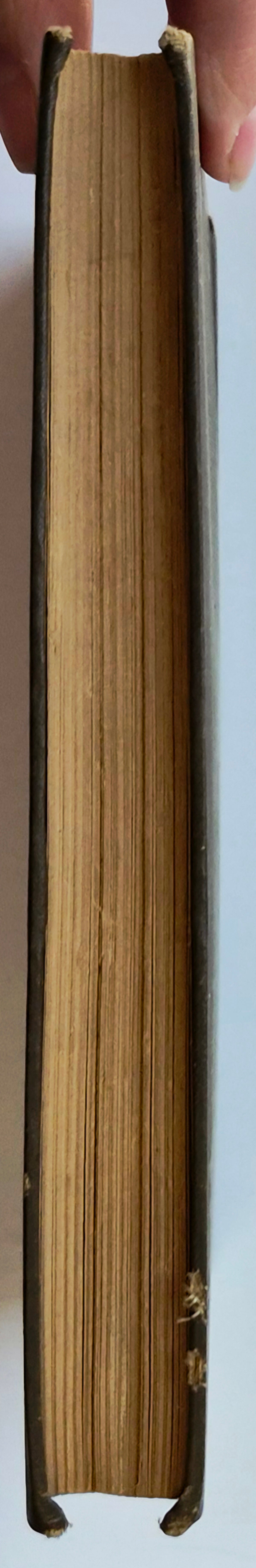 A Separate Peace von John Knowles (Sehr gut, 1996, Taschenbuch, 204 Seiten, Scribner)