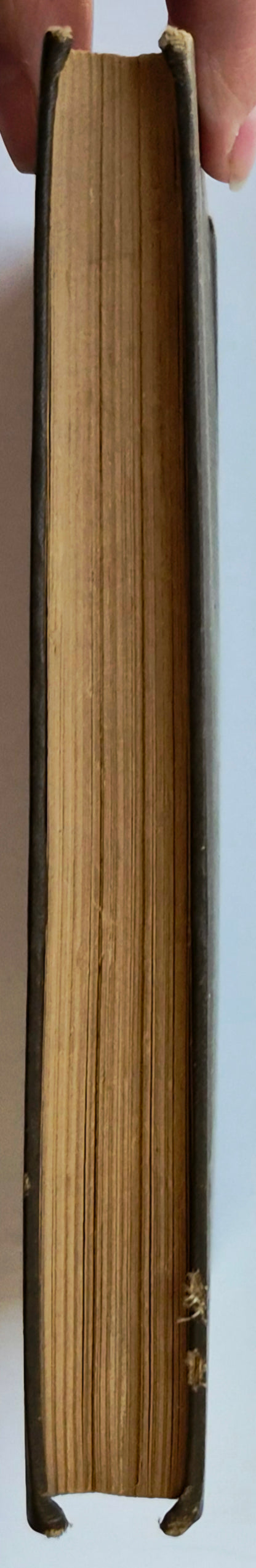 A Separate Peace von John Knowles (Sehr gut, 1996, Taschenbuch, 204 Seiten, Scribner)