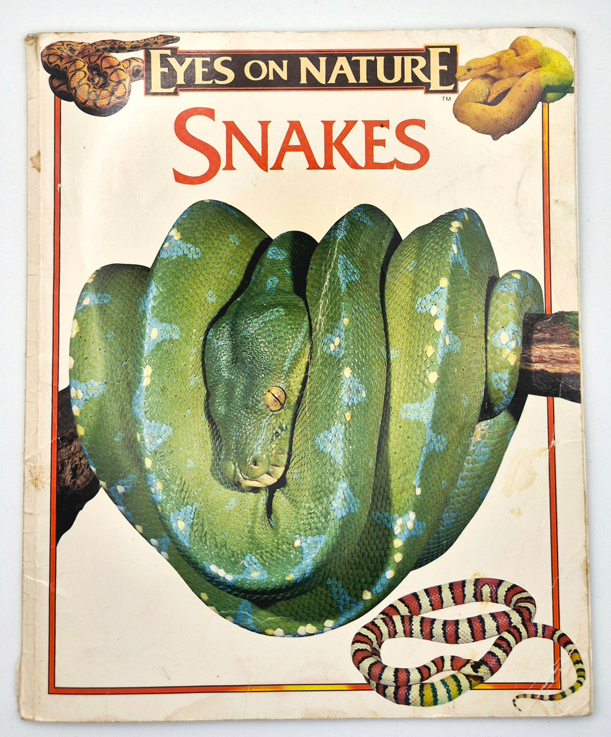 Eyes on Nature: Snakes by Jane P. Resnick (Good, 1996, Pbk, 30 pgs, Innisbrook Wraps)