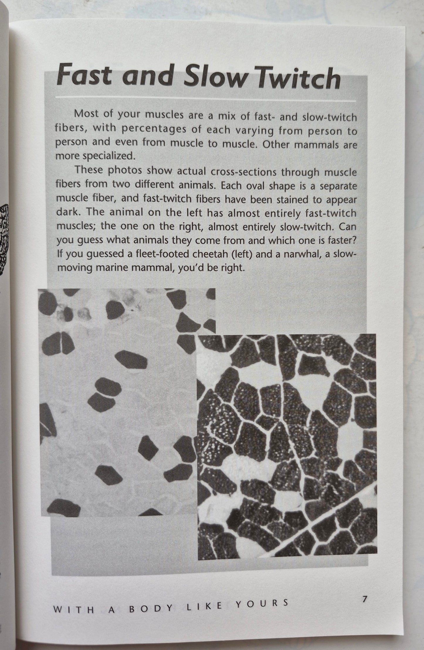 Trivia and More Trivia por Dan Carlinsky; Edwin Goodgold (Muy bueno, 1966, Tapa dura, 268 páginas, Castle Books)