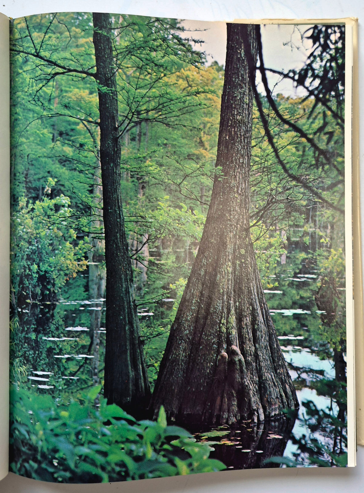 Reader's Digest America the Beautiful (Good, 1970, HC, 352 pgs, Reader's Digest Assn.)