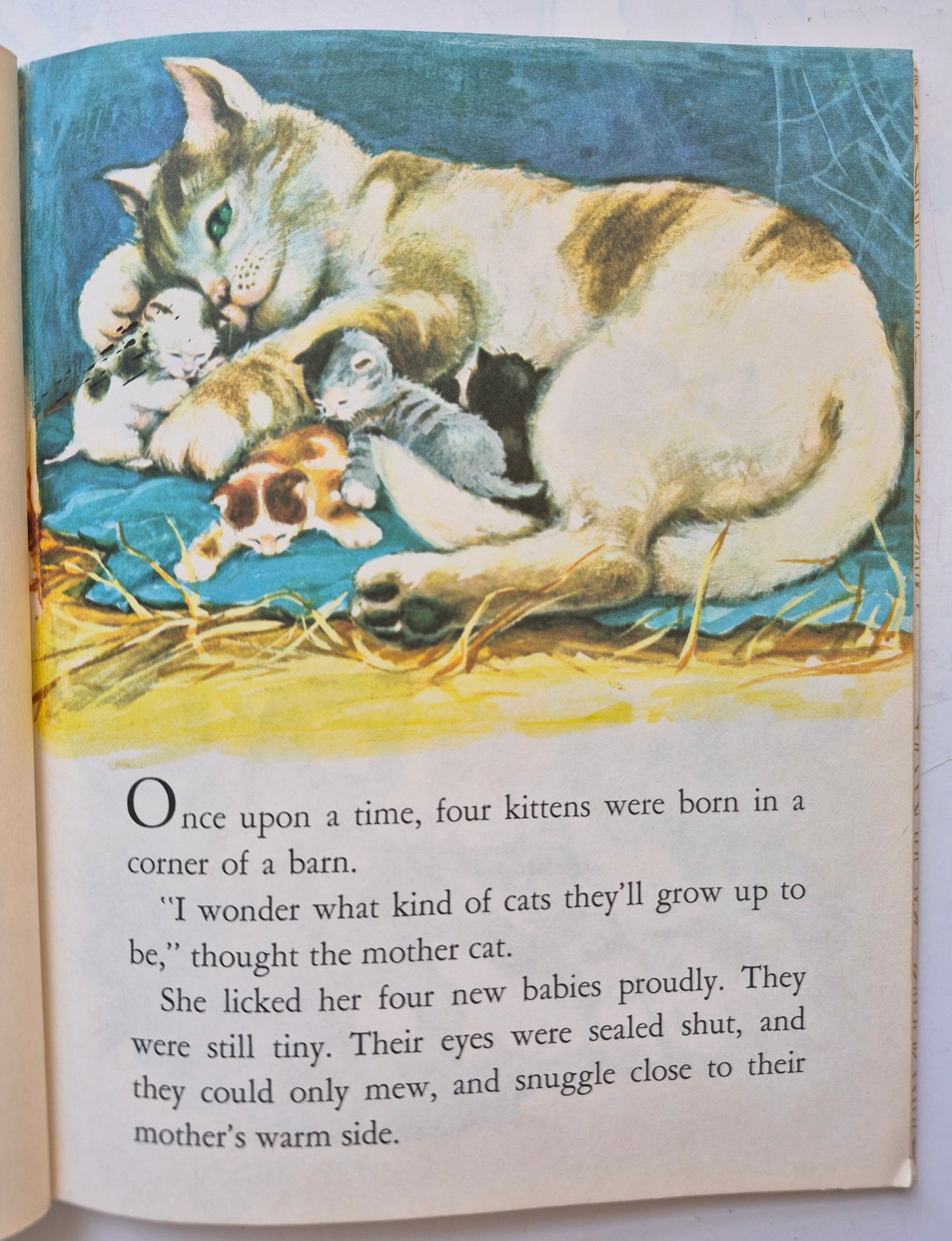 Four Little Kittens by Kathleen N. Daly; Adriana Mazza Saviozzi (Very good, 1957, HC, 32 pgs, Little Golden Book)