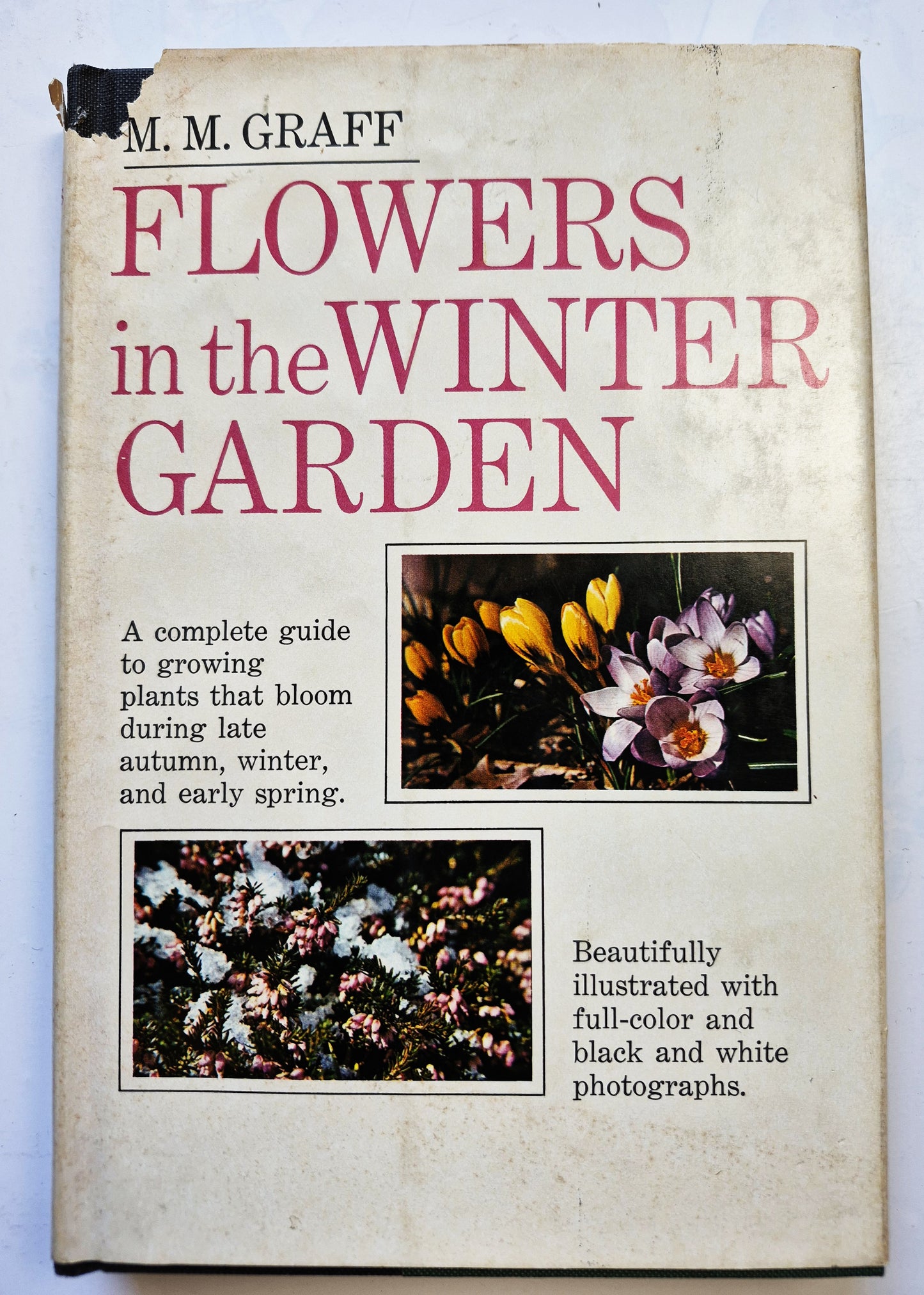 Flowers in the Winter Garden by M. M. Graff (Very good, 1966, HC, 203 pgs, Doubleday & Co)