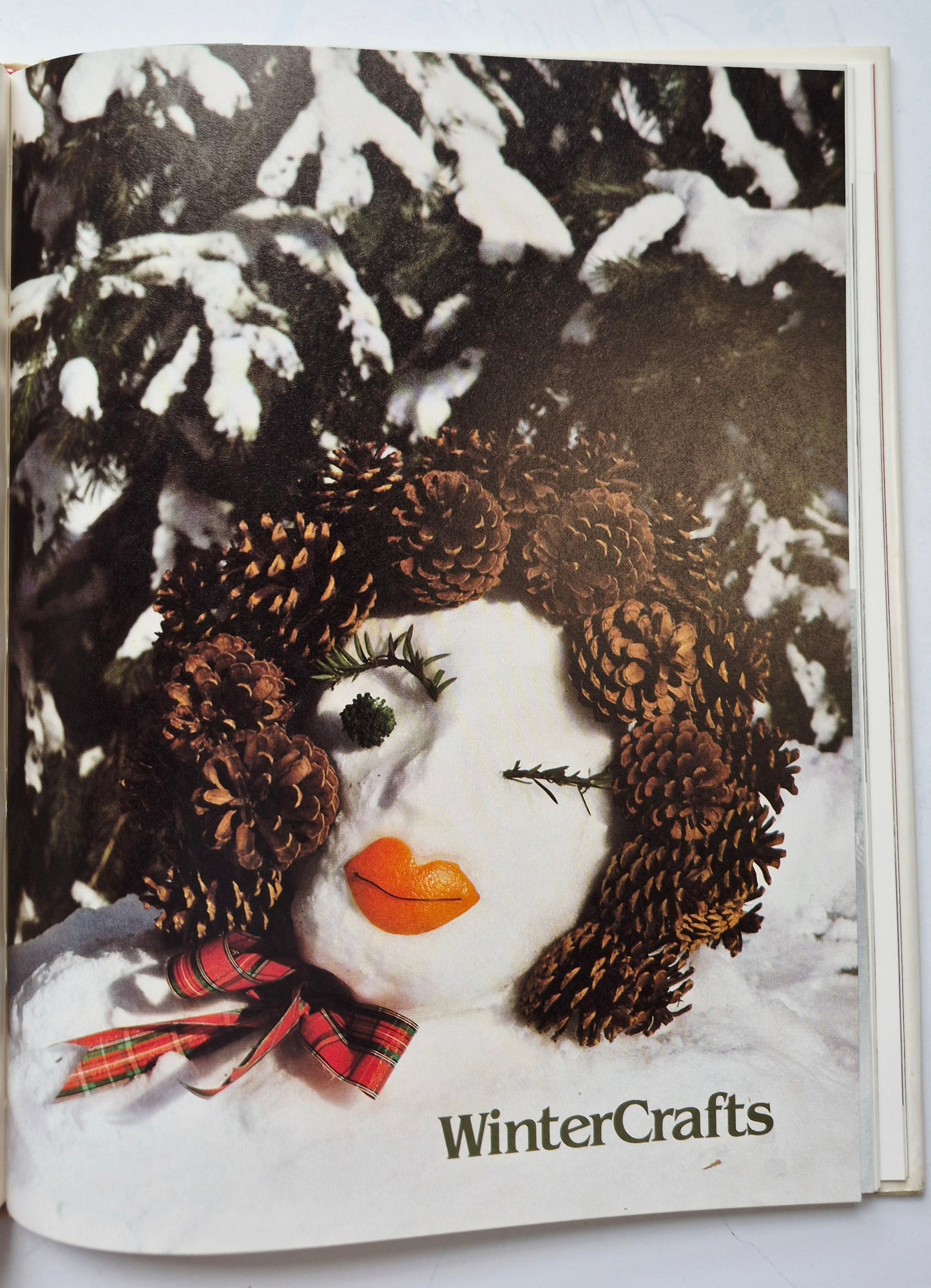 NatureCrafts: Seasonal Project from Natural Materials by Mary Elizabeth Johnson; Katherine Pearson (Very good, 1980, HC, 154 pgs, Oxmoor House)