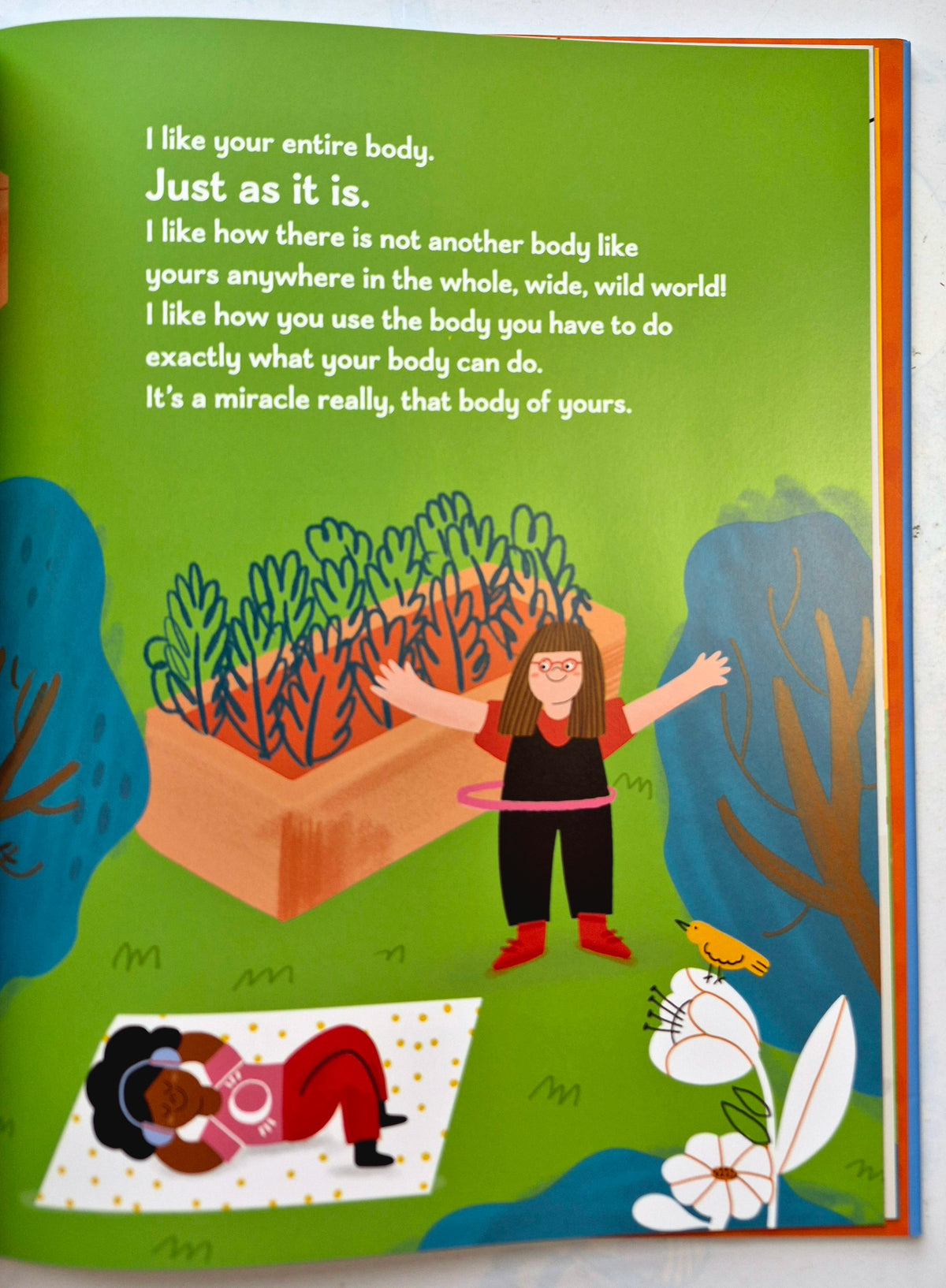 I Like You So Much by Heather Avis; Juliana Eigner (New, 2025, HC, 32 pgs, Zonderkidz)