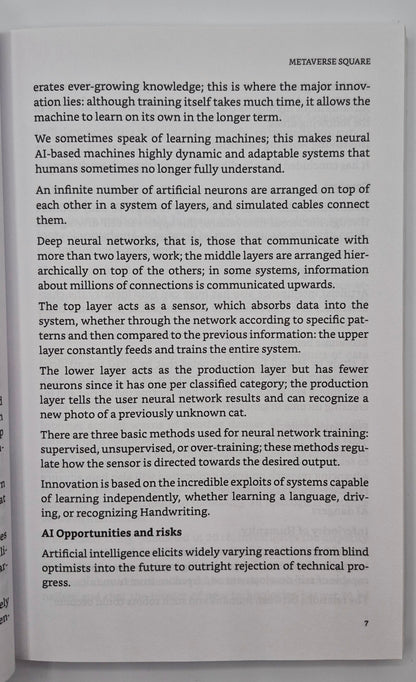 Metaverse Square by Lhachmi Taifouri (Very good, 2021, Pbk, 192 pgs, Self-Published)
